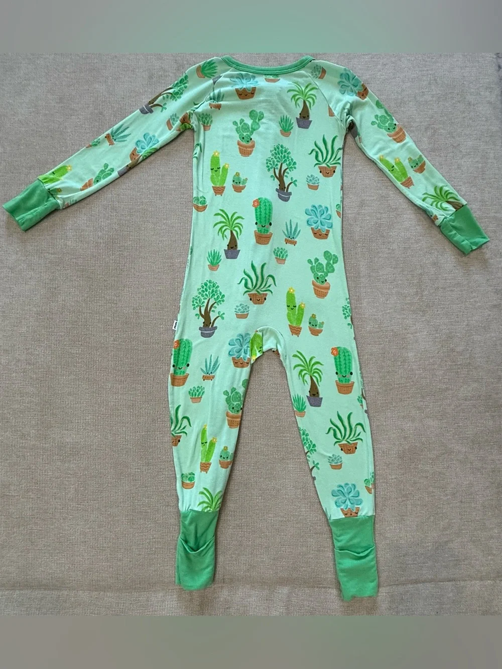 Little Sleepies Succulent Love Zippy 18-24 Months